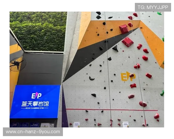 上海攀岩队的力量与技巧探讨攀岩运动的未来发展与挑战